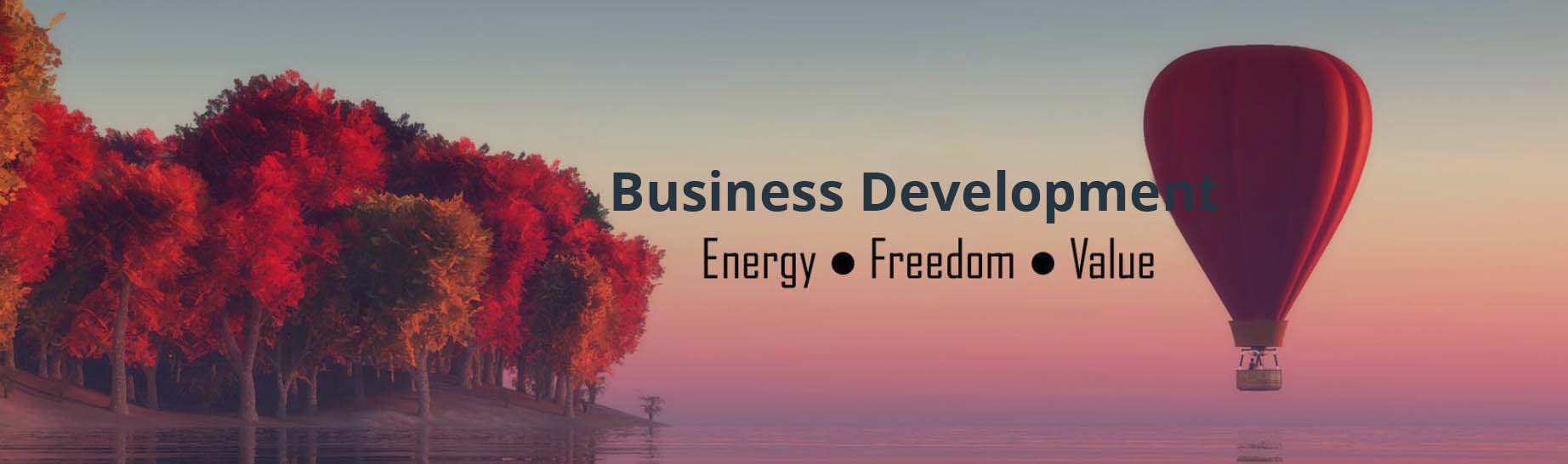 business_dev_banner_2